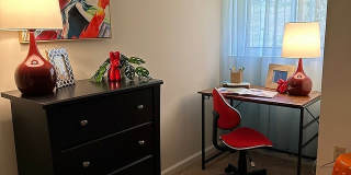 Plum Tree Gallery 11