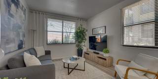 Vue Live Oak Gallery 1