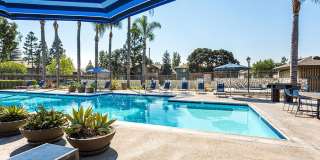 The Ashton Gallery 9