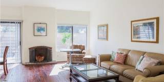 183 S Starflower Gallery 9