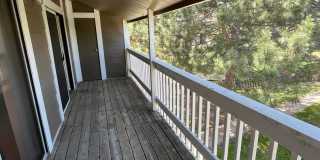 3 Bed 2 Bath Updated Unit in Robinwood Gallery 20