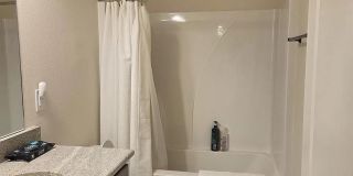 4 Bedroom House Available July 2026|Near LSU | Geaux Tigers Gallery 5