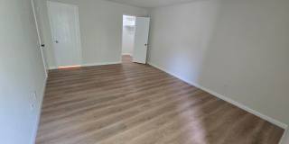 Beautifully Renovated Ground-Floor 2 Bedroom – Over 900 Sq. Ft.! Gallery 13