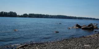 COLUMBIA RIVER Waterfront Home with Access on 1.5 Acres Gallery 4