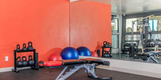 Wasko Modern Apartment Gallery 10