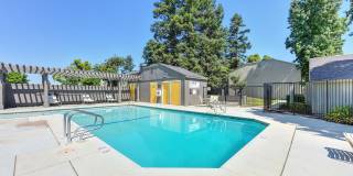 The Redwoods Apartments Gallery 10