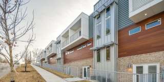 1356 N Hog Trough Drive Gallery 16