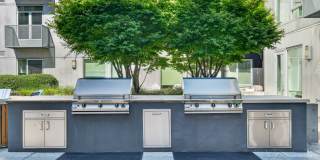 Enso Gallery 35