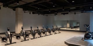 The Village Drey Gallery 62