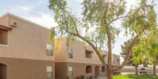 Ranchwood Gallery 22