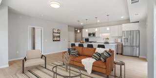 The Aurilla Gallery 17