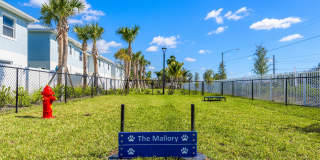 The Mallory Townhomes Gallery 23