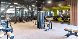 The Winston Gallery 22