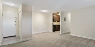 Stevens Walk Gallery 5