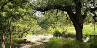 401 Shook Gallery 35