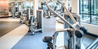 AVA Wheaton Gallery 28