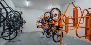 Deco Gallery 36