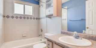 4 Bed 4 Bath Stetson Hills Home! Gallery 4