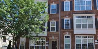 42683 HOLLYHOCK Terrace Gallery 1