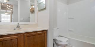 Steeplechase Gallery 17