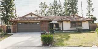 183 S Starflower Gallery 1