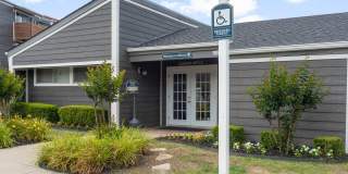 Hillside at Madison Gallery 8