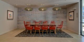 Agave Gallery 63