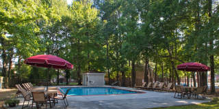 Thousand Oaks Gallery 62