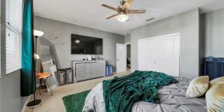 9339 Alondra Gallery 42