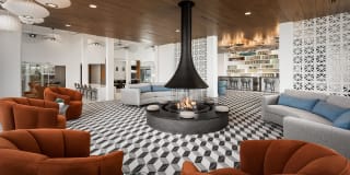 Roadrunner on McDowell Gallery 7