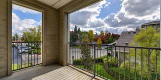 McKenzie at Natomas Park Gallery 15