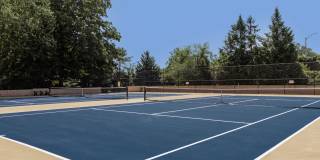 Annen Woods Annen Woods Gallery 33