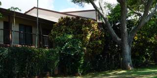 Coconut Inn Gallery 20