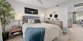 Solas Glendale Gallery 13