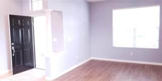 1115 FENNEL GREEN DRIVE Gallery 12