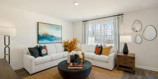 230 Palm Drive Gallery 4