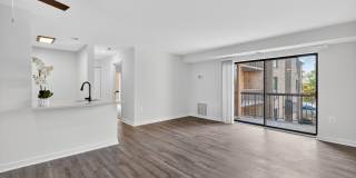 The Cloisters Gallery 7