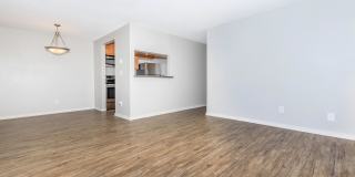 Carrington Gallery 56