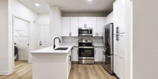 The Lola The Lola Gallery 2