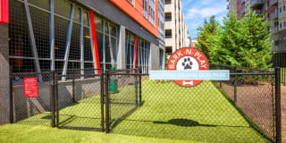 Halstead Square - Lotus & Lofts Gallery 10