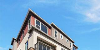 253 Carmona Gallery 1