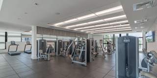 Legacy Lake Vista Gallery 16