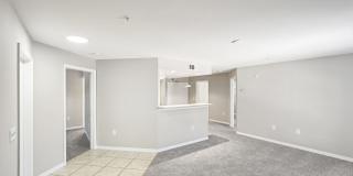 Coral Cove Gallery 10
