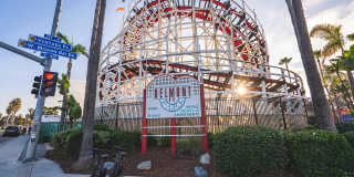 The Seaton Gallery 37