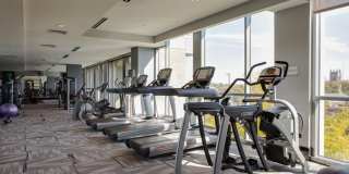 Beautiful Studio Condo In The Adelicia Gallery 22