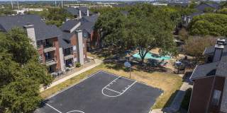 The Lynx The Lynx Gallery 21