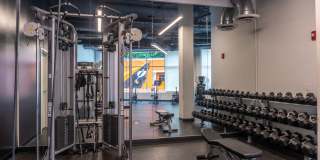 The Scholar The Scholar Gallery 13