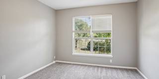 Bridford Lake Gallery 7