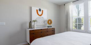 Alta Longwood Gallery 75