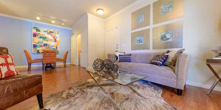 Parkway Grande Apartment Homes Gallery 7